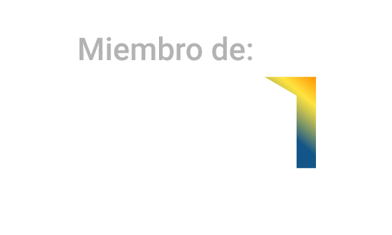 API Professional - Miembro